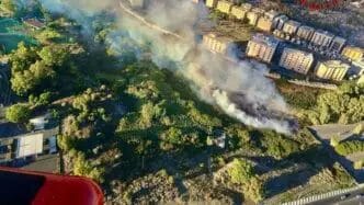 Incendio vicino al cimitero di Catania, intervento massiccio dei Vigili del Fuoco 5 Incendio