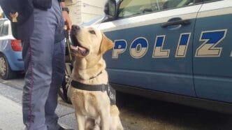 POLIZIA CINOFILA