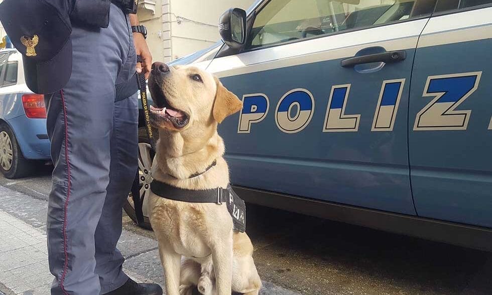 POLIZIA CINOFILA