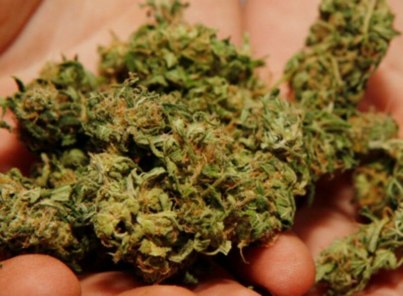 Marijuana
