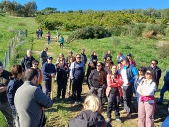 Alberi Biodiversita WWF AVIF 8 “Alberi & biodiversità”: oltre 80 partecipanti all’evento organizzato a Caltanissetta da WWF ed AVIF