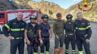 IMG 8765 Salvataggio a lieto fine: i Vigili del fuoco recuperano un cane in difficoltà nel messinese