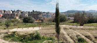Parco Urbano Rosario Assunto Festa dell’albero: dall’orto sociale alla piantumazione di ulivi per i bambini nati nel 2024