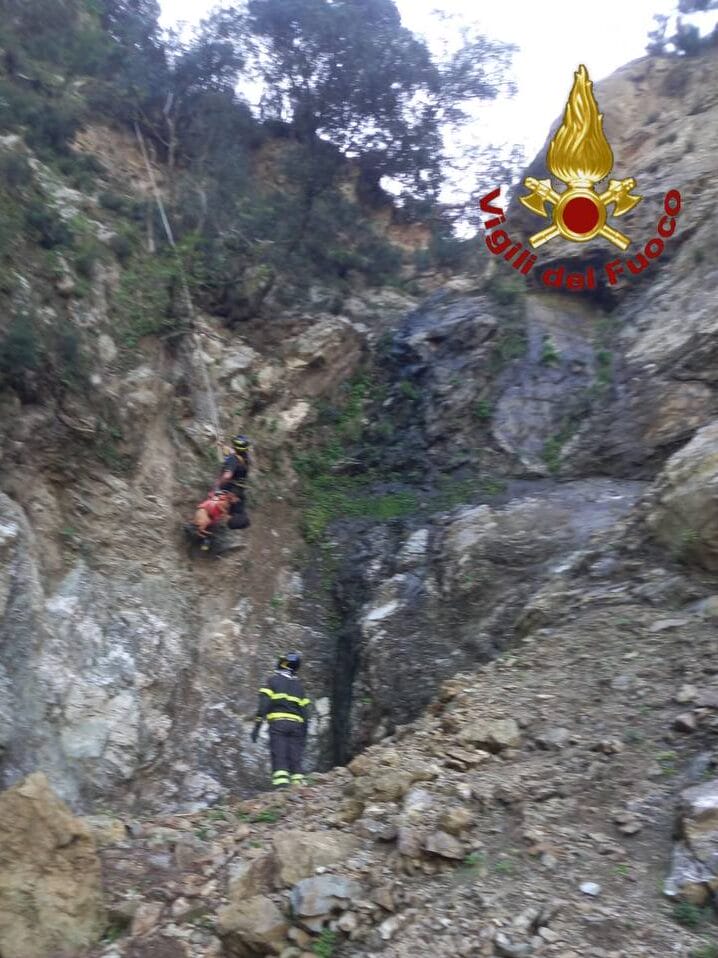 tempImageHGRz2E edited Salvataggio a lieto fine: i Vigili del fuoco recuperano un cane in difficoltà nel messinese