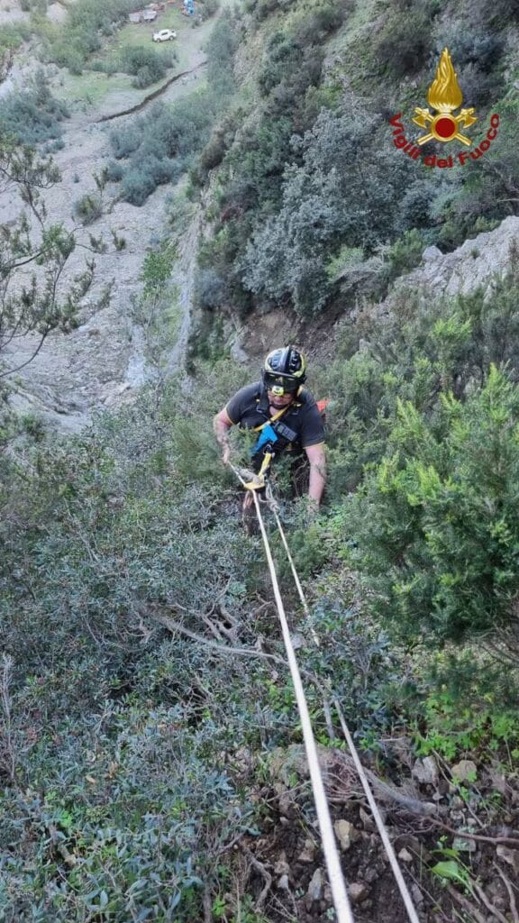 tempImageZw3vT4 Salvataggio a lieto fine: i Vigili del fuoco recuperano un cane in difficoltà nel messinese