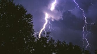 lightning strike on forest during night time