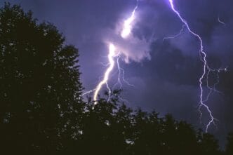 lightning strike on forest during night time