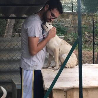 1000136337 Caltanissetta. Emergenza randagismo: il consigliere Turturici "ignorare il problema significa pagarlo caro"