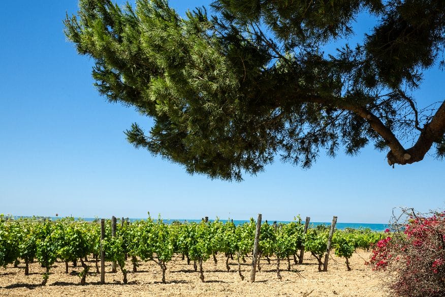 Casa Grazia 2 Patti, “Approdi – Un mare di Storie” di Casa Grazia giunge alla sua quinta tappa