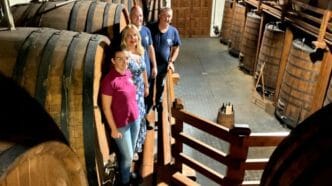 Cantine Patria Concours Mondial de Bruxelles, un oro e un argento per l’Etna con Cantina Patria