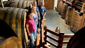 Cantine Patria Concours Mondial de Bruxelles, un oro e un argento per l’Etna con Cantina Patria