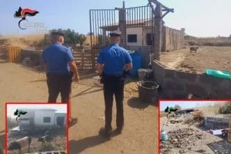 f4bb34ee910d24912128d9f18b9de320 Oasi del Simeto, scoperto allevamento abusivo e discariche illegali: denunciato un 52enne