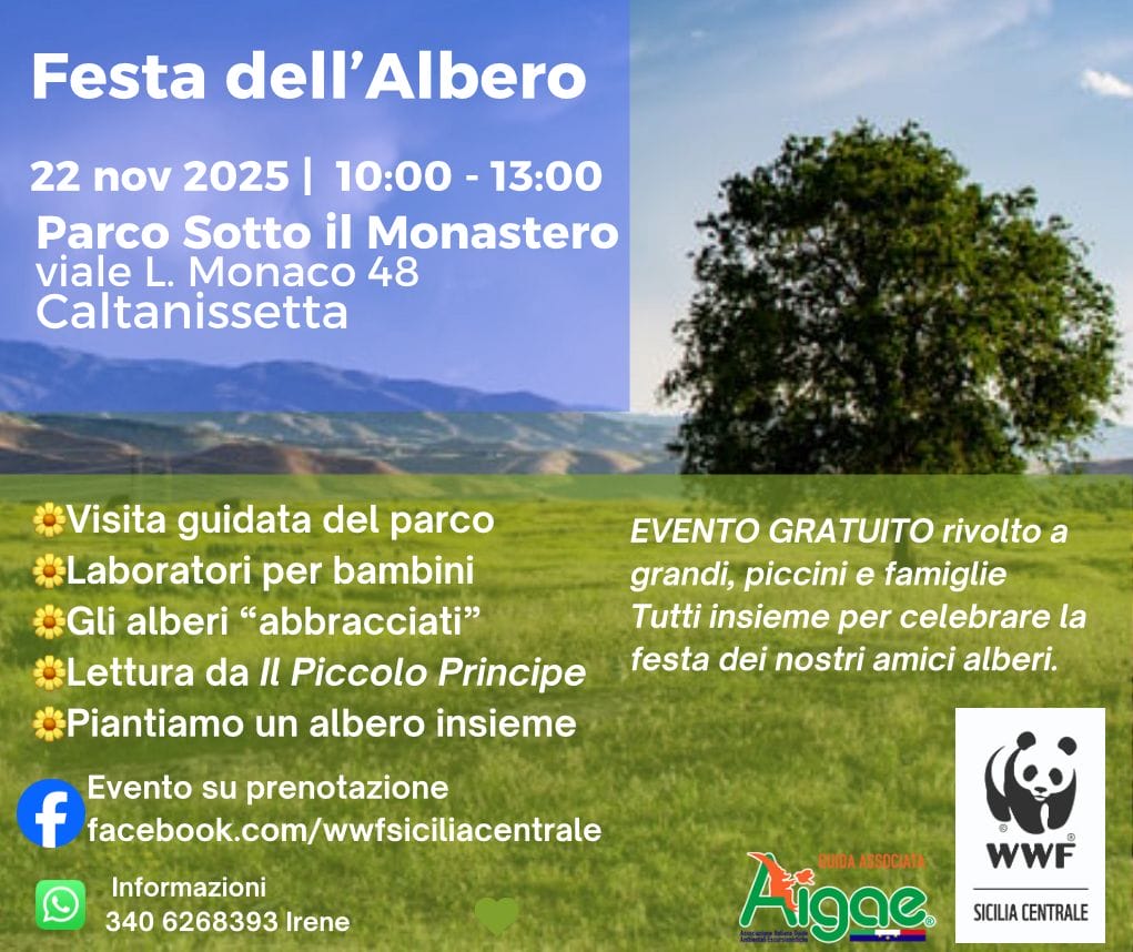 LOCANDINA SOCIAL FESTA ALBERO Caltanissetta, al via la Festa dell’Albero: letture, laboratori e piantumazione