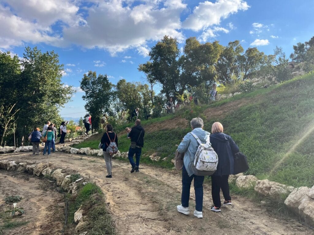 Parco Sotto il Monastero 6 Caltanissetta, al via la Festa dell’Albero: letture, laboratori e piantumazione