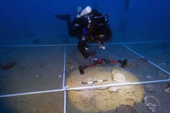 sito relitto siracusa Archeologia, nuove scoperte dal relitto di Ognina. Scarpinato: "Avanti con la ricerca scientifica"