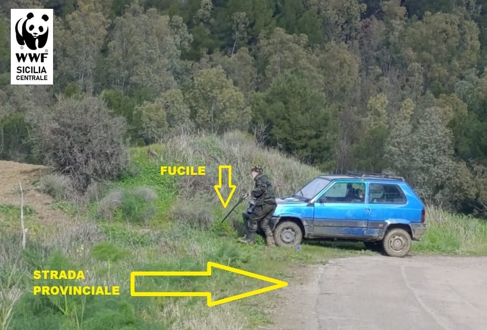 2 Stradaprovinciale Caccia illegale nel Nisseno, il WWF denuncia: “Spari vicino alle strade e nessun controllo”
