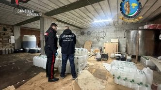 Foto 2 2@ Frode sull’olio, 24 perquisizioni in provincia di Agrigento: sequestrati documenti e materiale informatico