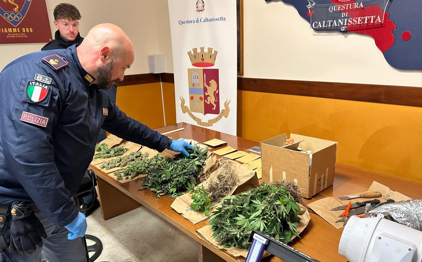 foto sequestro marijuana2 Serra indoor di droga nel centro storico: trentenne arrestato a Caltanissetta