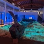 Museo Gela 1 Gela, Perna (Italia Viva): “Servono risorse e personale per i siti archeologici, non solo annunci”